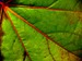 listy_05.jpg