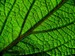 listy_08.jpg