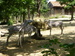 P1050317.JPG