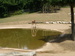 P1050340.JPG