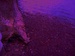 P1110146a.JPG