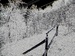 P1110150a.JPG