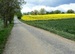 P1170259 Ou.jpg