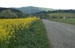 P1170263 OO.jpg