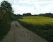P1170265 Ou.jpg