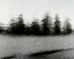 P1170869OE.jpg