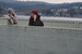 P3162813.JPG