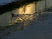 PC312361.jpg