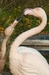 01 ZOO Eliška