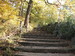 ZOO 03.JPG