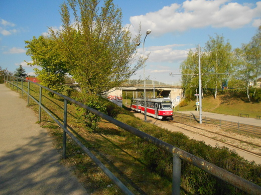 Alenka: 
